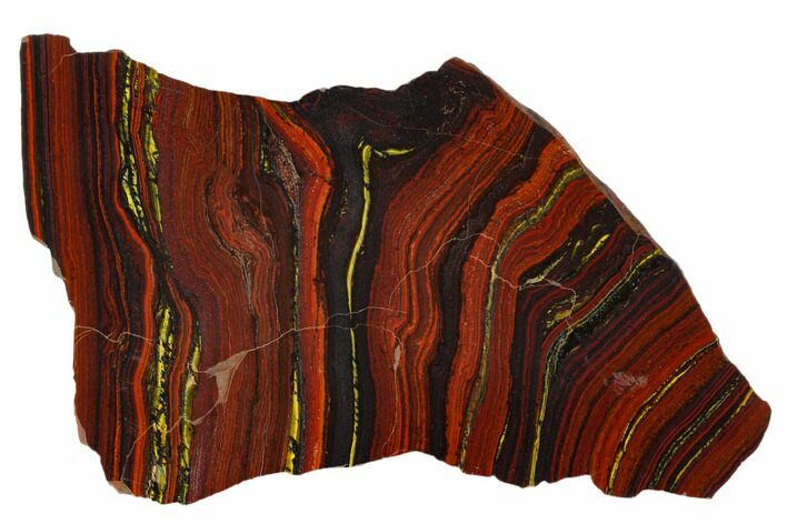 Polished Tiger Iron Stromatolite - Billion Years #129207